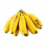 Plátano Dominico V1