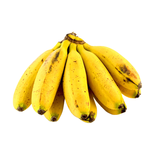 Plátano Dominico V1